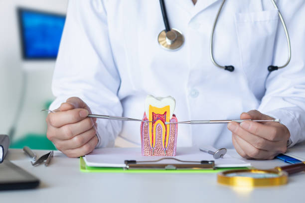 Best Emergency Dental Care for Sports Injuries in Powell, AL